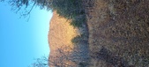 Enlarge photo 332