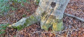 Enlarge photo 334
