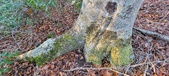 Enlarge photo 336