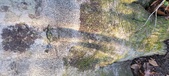 Enlarge photo 337