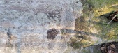 Enlarge photo 338