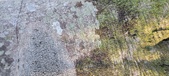 Enlarge photo 361