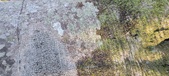 Enlarge photo 340