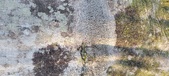 Enlarge photo 341