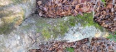 Enlarge photo 343