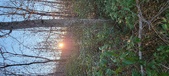 Enlarge photo 344
