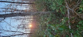 Enlarge photo 345