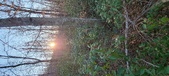 Enlarge photo 346