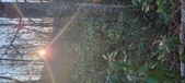 Enlarge photo 347