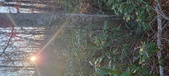 Enlarge photo 348