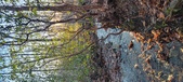 Enlarge photo 349