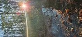 Enlarge photo 350