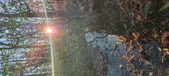 Enlarge photo 351