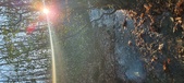 Enlarge photo 352