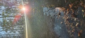 Enlarge photo 353