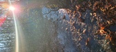 Enlarge photo 362
