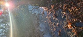 Enlarge photo 363