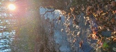 Enlarge photo 364