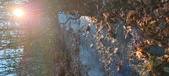 Enlarge photo 365