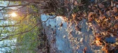 Enlarge photo 366