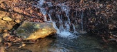 Enlarge photo 367