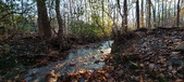 Enlarge photo 368