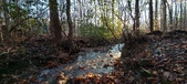 Enlarge photo 369