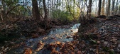 Enlarge photo 370