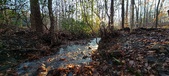 Enlarge photo 371