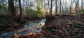 Enlarge photo 375