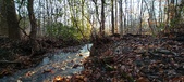 Enlarge photo 374