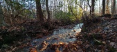 Enlarge photo 373