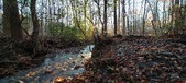 Enlarge photo 372