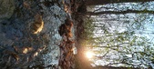 Enlarge photo 378