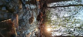 Enlarge photo 377