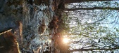 Enlarge photo 376