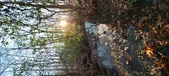 Enlarge photo 381