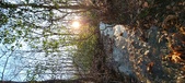 Enlarge photo 382