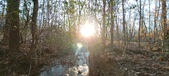 Enlarge photo 383