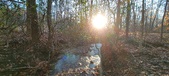 Enlarge photo 387