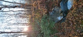 Enlarge photo 386