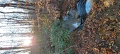 Enlarge photo 385