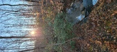 Enlarge photo 384