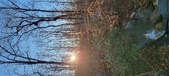 Enlarge photo 391
