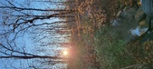 Enlarge photo 390