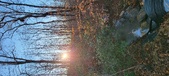 Enlarge photo 389