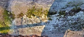 Enlarge photo 388