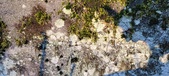 Enlarge photo 392