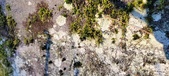 Enlarge photo 393