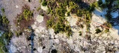 Enlarge photo 394